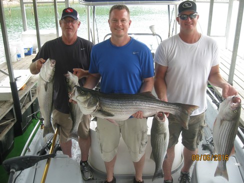 Nice Striped Bass